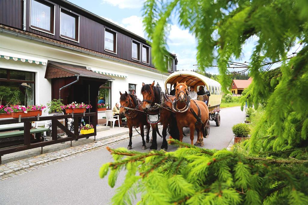 Gaststaette & Pension Waldquell Antonshohe 外观 照片